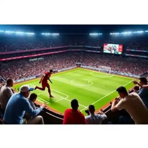 Exploring the Evolution of Sports Entertainment Through Bingoplus Apps